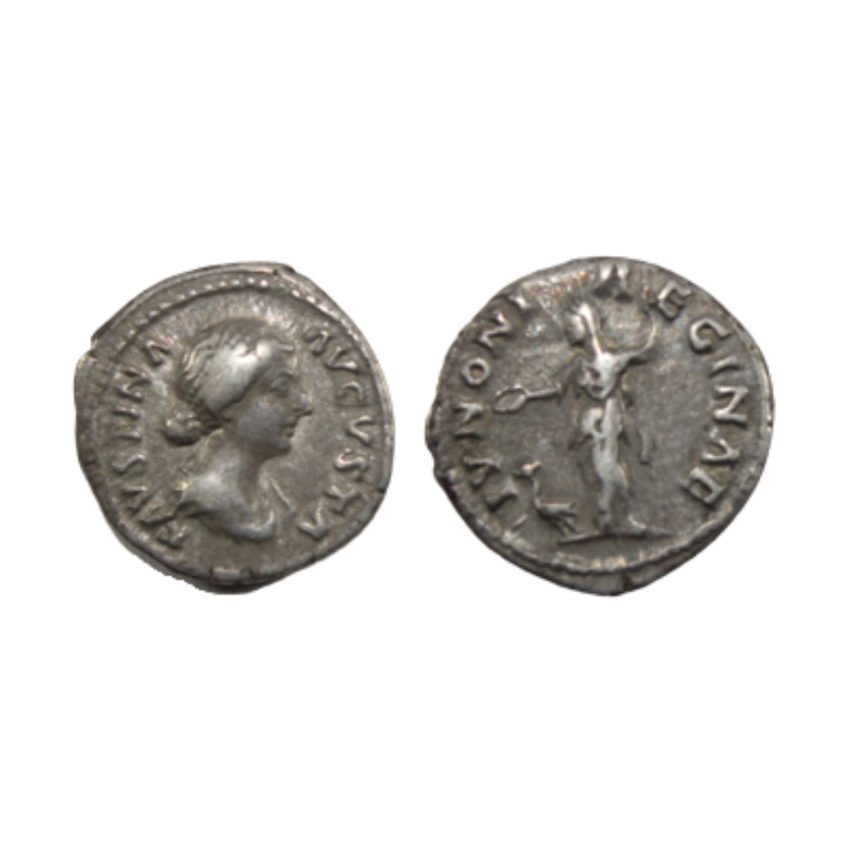 DIVA FAUSTINA - Denario